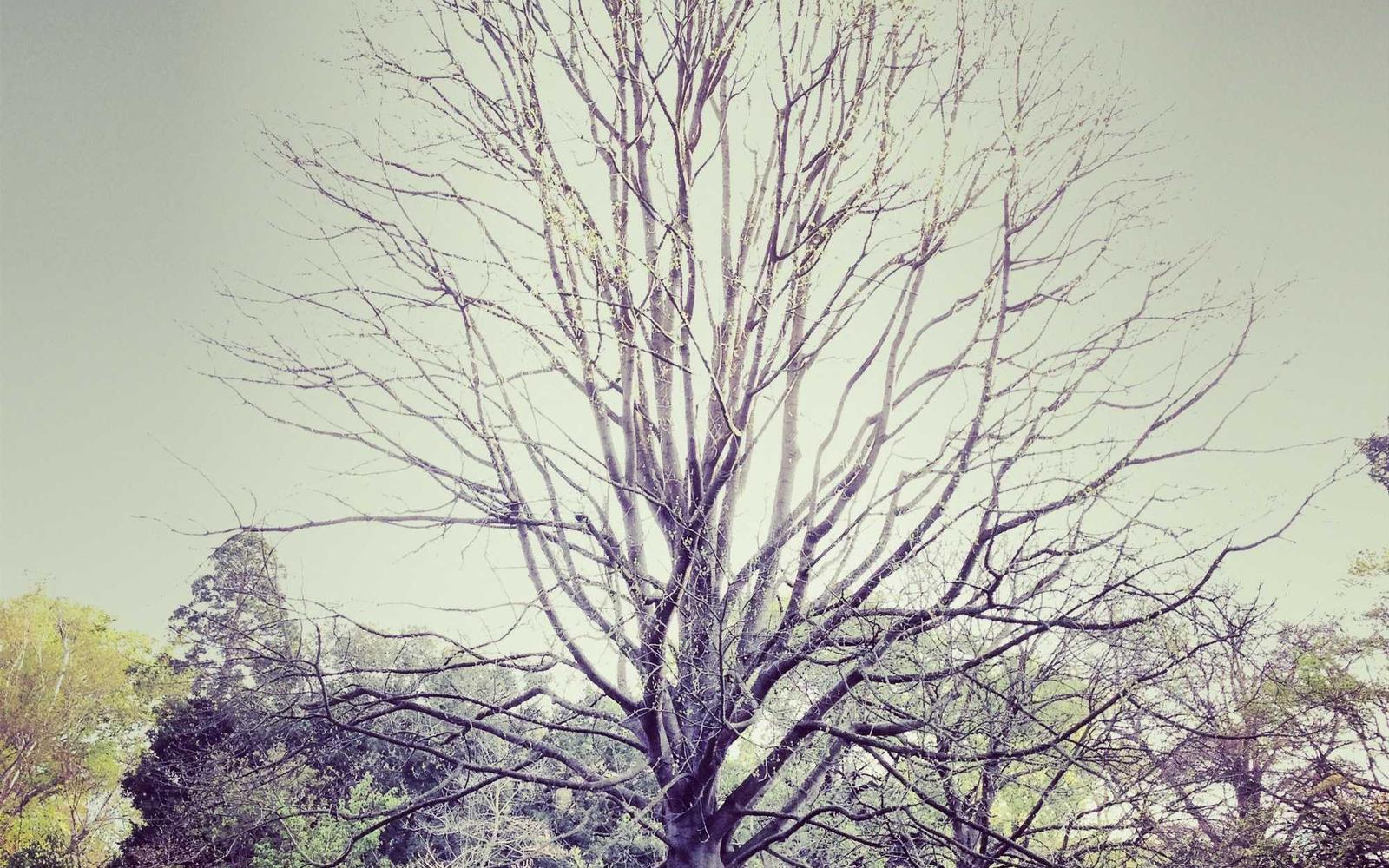 Selbstbehauptungstraining - Gesundheitsprävention